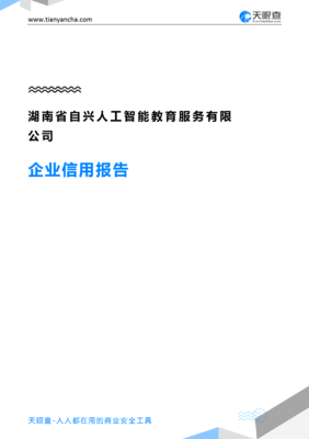 湖南省自兴人工智能教育服务(企业信用报告)- 天眼查